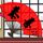 天使之路